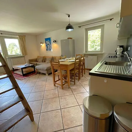 Duplex Au Coeur De Avec Wifi Et Animaux Admis - Fr-1-343-183 Chamonix Mont Blanc