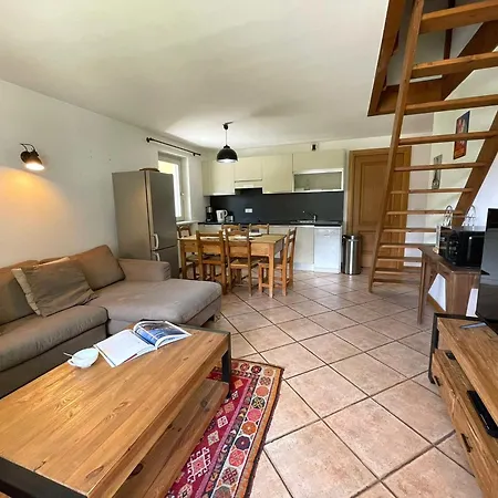Duplex Au Coeur De Avec Wifi Et Animaux Admis - Fr-1-343-183 * Chamonix Mont Blanc
