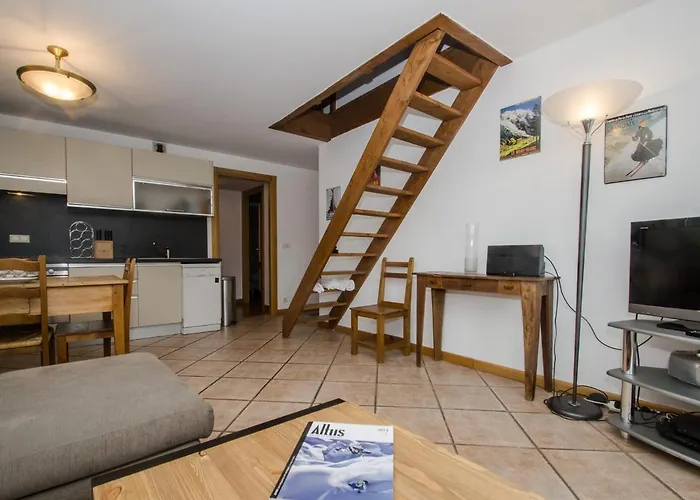 Duplex Au Coeur De Avec Wifi Et Animaux Admis - Fr-1-343-183 Chamonix